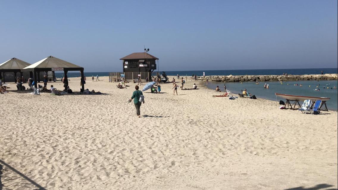 הוילה חיפה Private Garden House מראה חיצוני תמונה